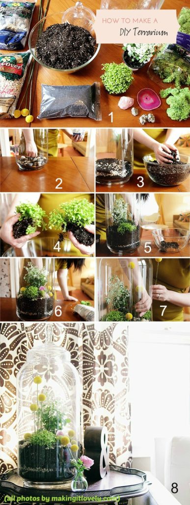 DIY Terrarium Tutorial