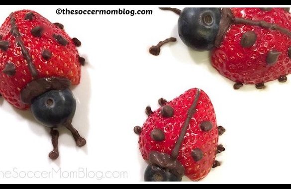 DIY Fruits Ladybug Tutorial