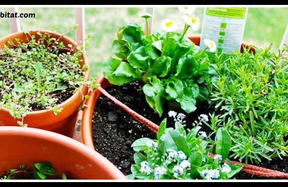 DIY Urban Garden Small Space Tutorial