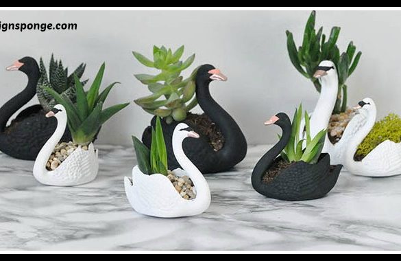 DIY Swan Succulent Planters Tutorial