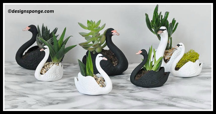 DIY Swan Succulent Planters Tutorial