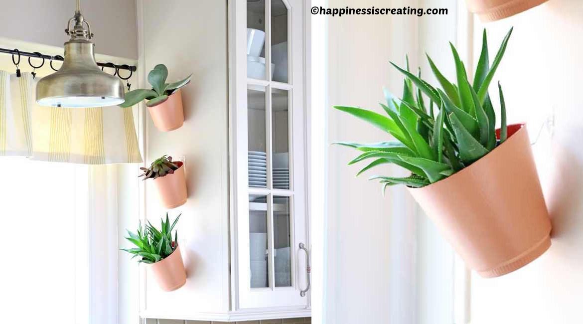 diy kitchen vertical garden tutorial