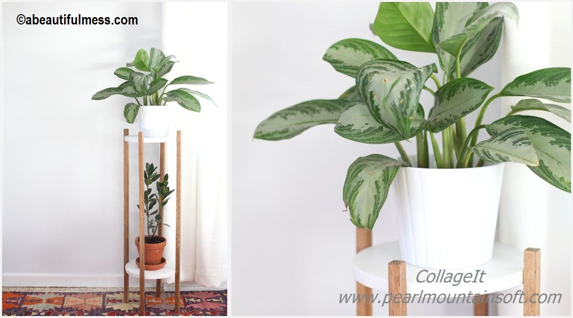 DIY Wood Plant Stand Tutorial