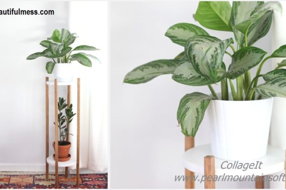 DIY Wood Plant Stand Tutorial